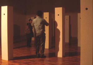 bow-wow, pooh-pooh, ding-dong installed