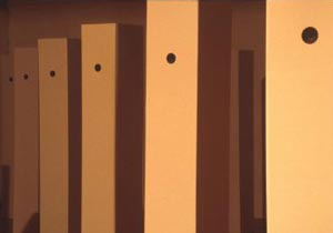 bow-wow, pooh-pooh, ding-dong installed