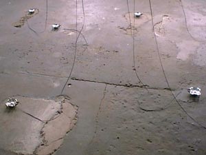 installation view of Time and Motion Study